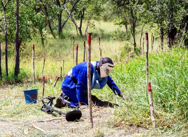 Improving food security and wildlife conservation.